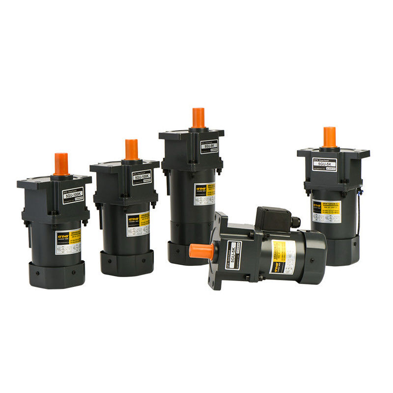 10W কাস্টম গিয়ার মোটর বৈদ্যুতিক গিয়ার মোটর AC DC 110V 220V 380V 24V 48V